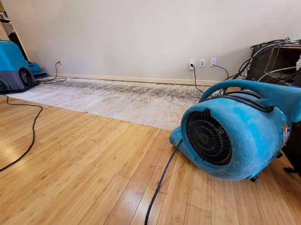 Professional Basement Flood Cleanup technician working in Kenly, NC